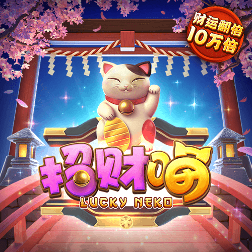 大红鹰dhy登录截图2